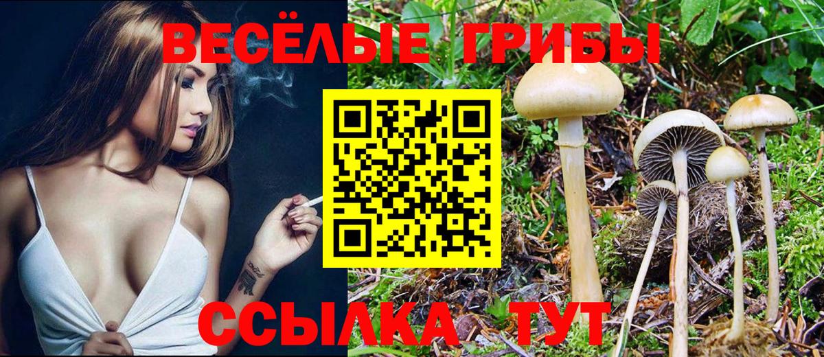 Псилоцибиновые грибы мухоморы Астрахань